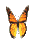 Animal papillon